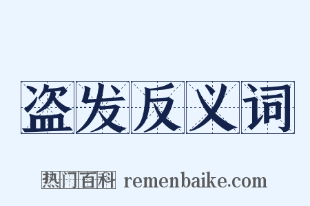 盗发反义词是什么意思的图片